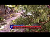Hujan Deras dan Angin Kencang Terjang Yogyakarta - NET24