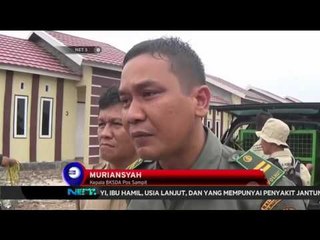 Habitat Terbakar, Orang Utan Masuk Pemukiman Warga di Sampit - NET5