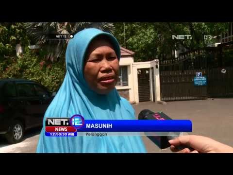 Serba Serbi Ladyjek - NET12