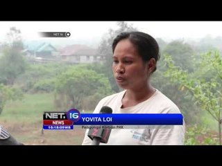 Korban PHK Perusahaan Kelapa Sawit Tinggal di Tenda Seadanya - NET 16