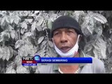 Akibat Erupsi Gunung Sinabung, Lahan Pertania Warga Rusak - NET12