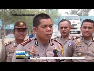 Ratusan Orangutan Terancam ISPA - IMS