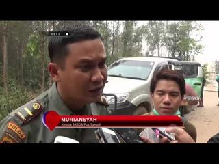 Penyelamatan Keluarga Orang Utan di Kalteng - NET5