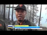 Kebakaran Hutan di Ponorogo Tewaskan Empat Orang - IMS