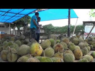 Ramainya Pedagang Duren Bengkulu - NET 12