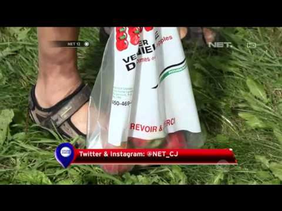 Sensasi Wisata Petik Apel di Perkebunan Kanada - NET12