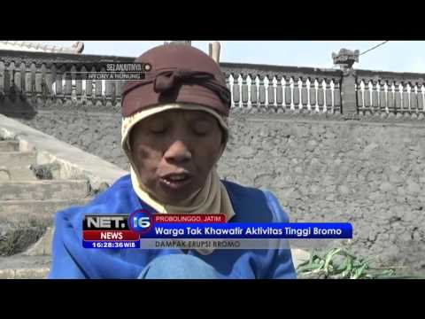 Warga Tak Khawatir Aktivitas Tinggi Gunung Bromo - NET16