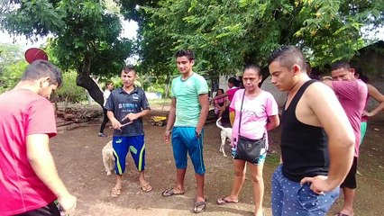 Conociendo el palacio y a los padres de Julio. Jugando chibolas o canicas en casa de Julio. Parte 2