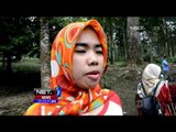 Taman Bunga Batu Raden Rusak Oleh Ulah Pengunjung - NET5