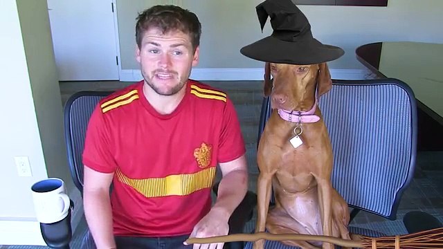 Lady Confronts Me About Abusing My Service Dog