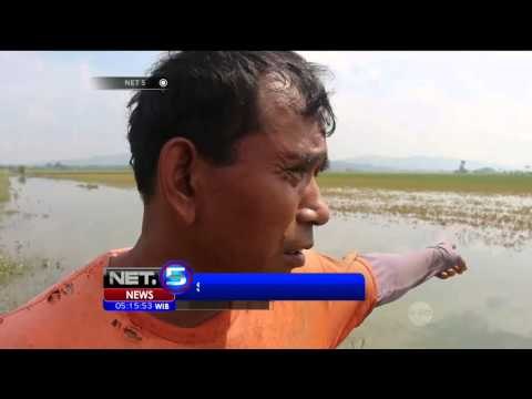 Banjir Isolasi Jalur Kereta dan Darat di Sidoarjo - NET5
