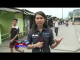 Live Report : Penertiban Kalijodo - NET12