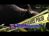 Akibat Matinya Seekor Gajah, Puluhan Gajah Liar Mengamuk dan Rusak Rumah Warga Aceh - NET24