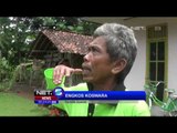 Longsoran Sampah Merusak Satu Hektar Persawahan Milik Warga Kota Banjar - NET5