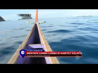 Pesona Alam Teluk Kiluan - NET12