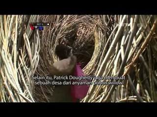 Pameran Wonder Cetak Rekor Pengunjung Terbanyak - NET5