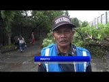 Hujan Lebat dan Angin Kencang, Belasan Pohon Besar Tumbang di Kawasan Bandung - NET5