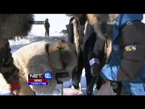 Kemeriahan Festival Memancing Musim Dingin di China - NET12