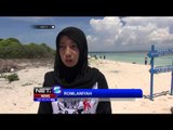 Kampanye Tanam Pohon Di Sumenep, Jawa Timur - NET5