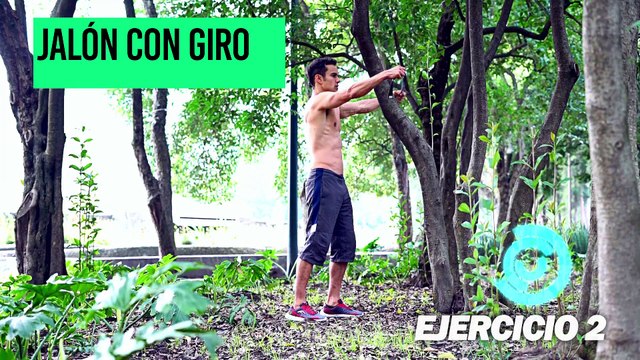 Vida Zen | Fortalece los brazos con la ayuda de un árbol