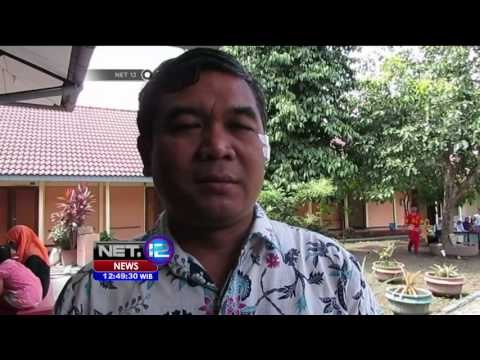 Ecobriks, Bahan Untuk Aneka Kerajinan, Solusi Limbah Plastik - NET12