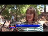 Keunikan Desa Gnomville di Australia - NET5
