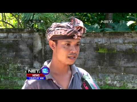 Jenazah Korban Kapal Rafelia Tenggelam Gusti Made Tiba Di Gianyar, Bali - NET12