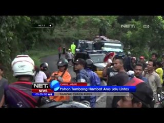 Download Video: Pohon Besar Berumur Puluhan Tahun Tumbang, Lalu Lintas Ciamis Lumpuh - NET5