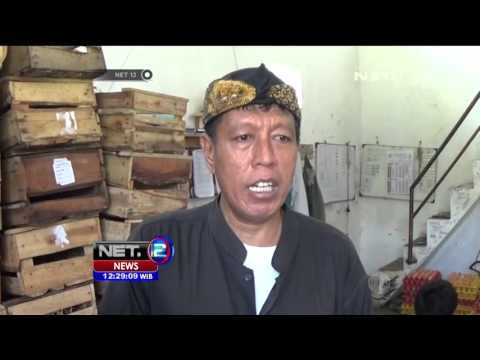 Dampak Penyebaran Flu Burung, Harga Ayam Turun Drastis - NET12