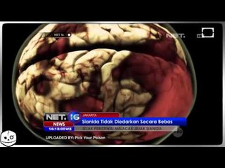 Penelusuran Peredaran Sianida di Tengah Masyarakat - NET16