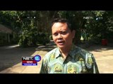 Proses Evakuasi Pohon Tumbang di Kebun Binatang Gembira Loka, Yogyakarta - NET12