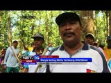 Warga Dan Petugas Menutun Lubang Galian Tambang Emas Ilegal di Jember, Jawa TImur - NET16