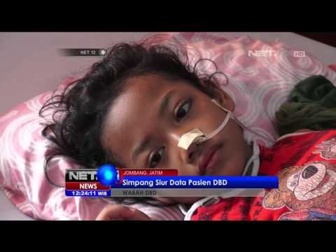 Pasien Terus Meningkat, Sejumlah Daerah Tetapkan Status KLB DBD - NET12
