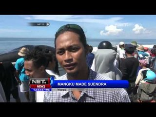 Descargar video: Ikan Paus Sperma Ditemukan Mati Terdampar di Denpasar, Bali NET12