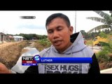 Seekor Penyu Hijau Tersesat di Pemukiman Warga Kota Balikpapan - NET5