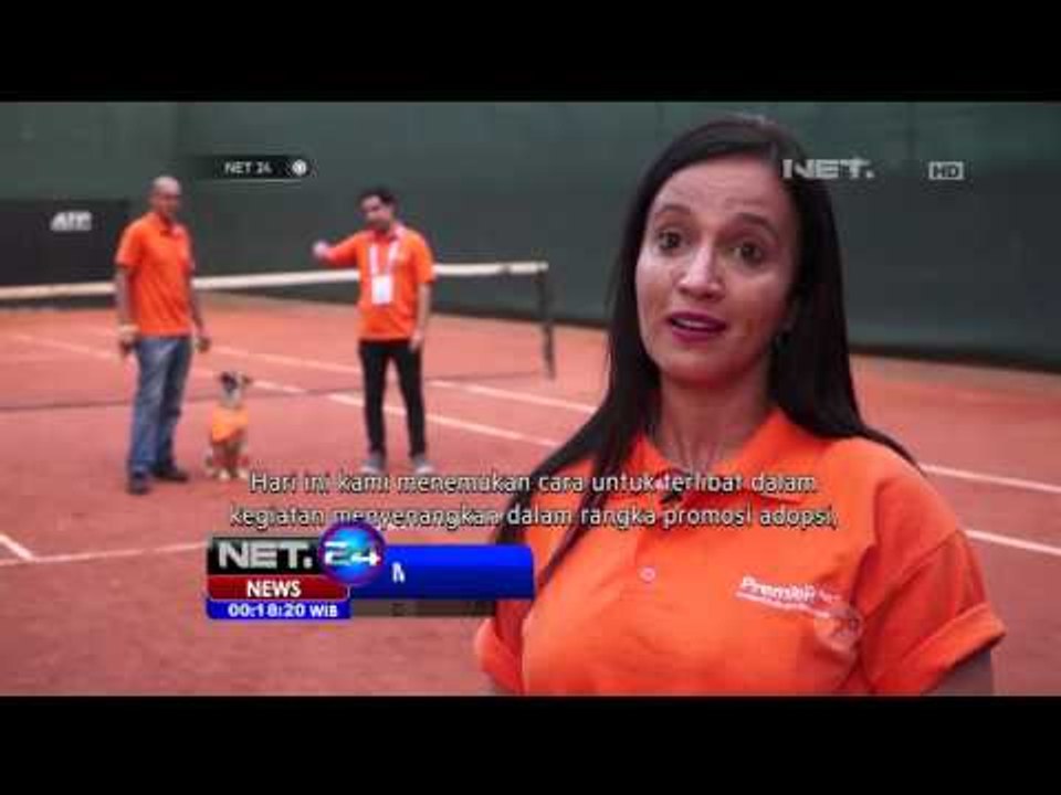Penggunaan Anjing Sebagai Ball Boys di Pertandingan Tenis - NET24