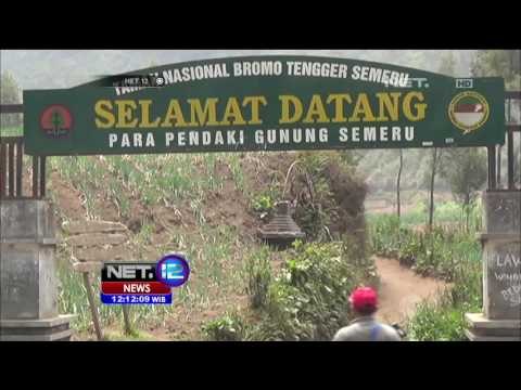 Pencarian Pendaki Hilang Semeru Terus Dilakuan, Dua Korban Tak Kunjung Ditemukan - NET12