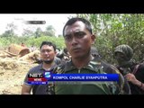 Polisi Sita 100 Ton Kayu Ilegal di Aceh - NET5