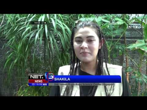 Bermain dan Belajar di Taman Kupu Kupu Batam - NET5
