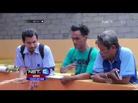 Semakin Lemah dan Dehidrasi, Petugas Meningkatkan Pengawasan 28 Penyu Hijau - NET12