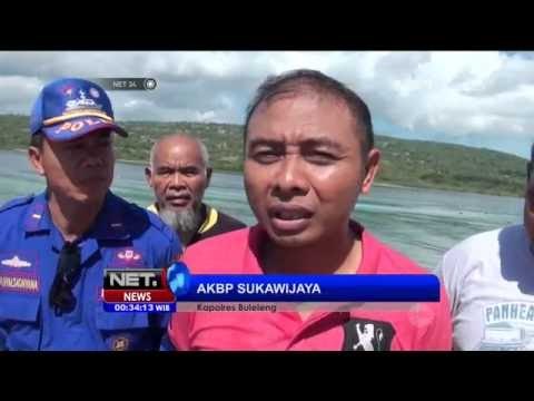 Pelepasan Penyu Hijau Sitaan Polres Buleleng - NET24