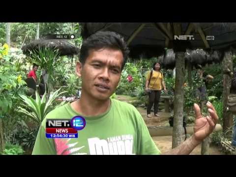 Destinasi Wisata Alam Mata Air Mudal di Kulonprogo - NET12