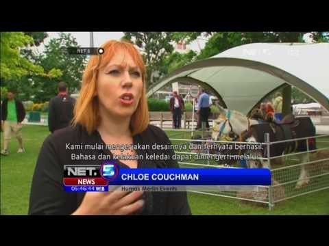 Menunggangi Keledai Sambil Bicara di London, Inggris - NET5