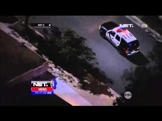 Penangkapan Beruang Liar - NET5