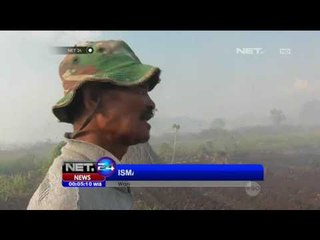 Kebakaran Lahan Gambut Sebabkan Satwa Liar Mati Terpanggang - NET24