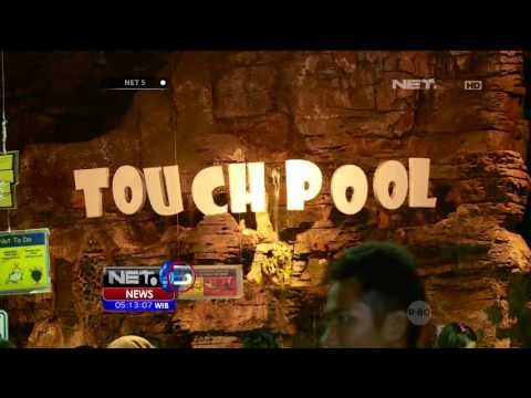 Ancol Diserbu Puluhan Ribu Pengunjung - NET5