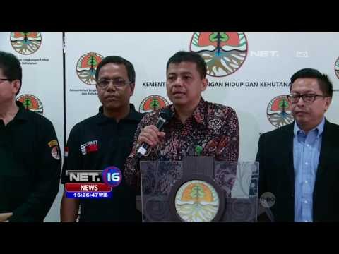 Kebakaran di Lahan Gambut Sulit Dipadamkan Akibat Dalamnya Lahan dan Angin Kencang - NET16