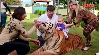 Living With Tigers Family Share Home With Pet Tigers