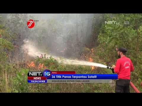 Petugas Temukan 36 Titik Panas Baru di Riau - NET16