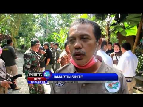 Pelepasliaran Orangutan Untuk Membentuk Populasasi Baru - NET12